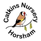 Catkins Nursery Horsham